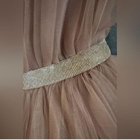 Mable Tulle Mini NWT Size XS Elegant Mauve Tulle Dress with Gold Belt - Picture 2 of 4